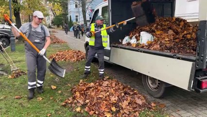 Gazeta Lubuska. Zielona Góra. W mieście trwa porządkowanie liśći