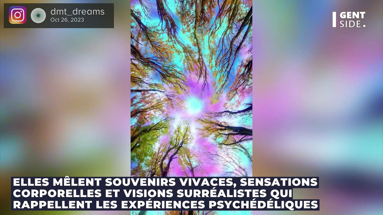 Qu'est-ce que la DMT, cette substance chimique qui pourrait être à l'origine des expériences de mort imminente ?