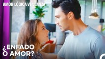 Reunidos Después De Años - Amor Lógica Venganza