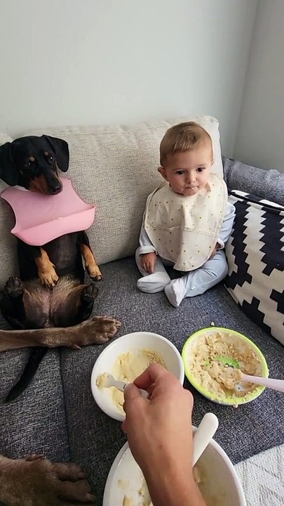 Family Lunch