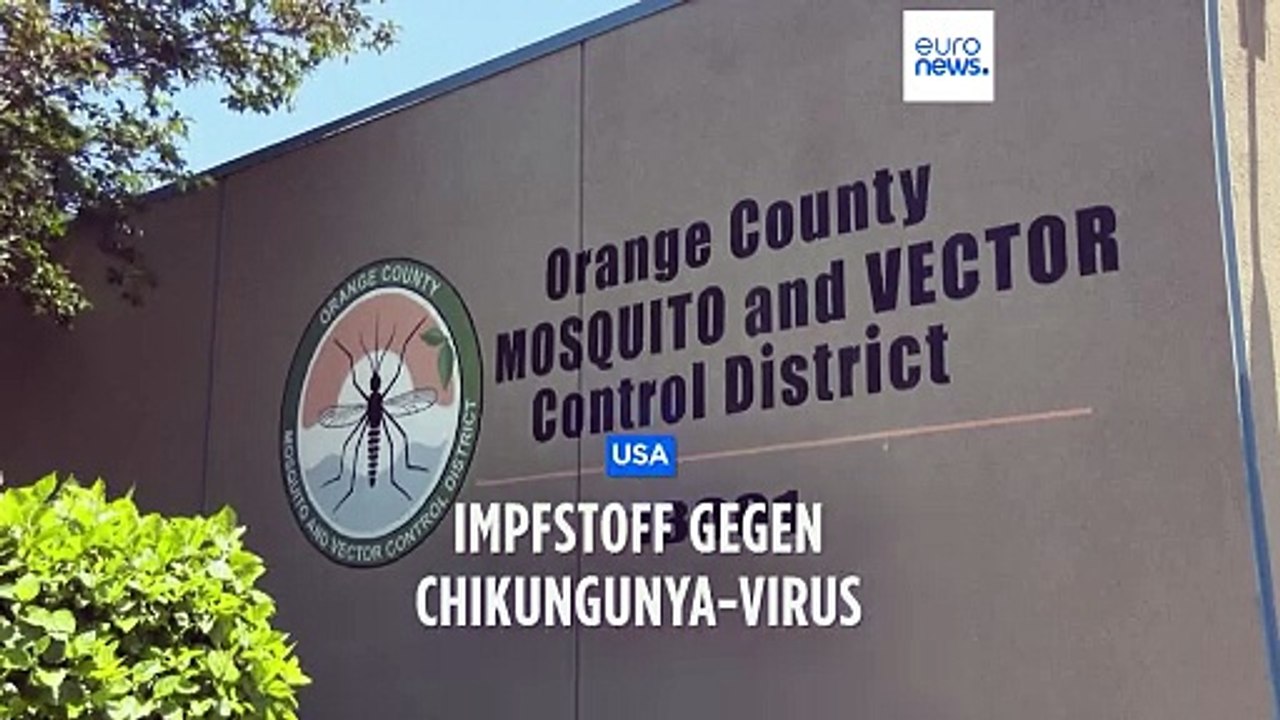 USA lassen ersten Impfstoff gegen Chikungunya-Virus zu