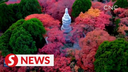 Magnificent autumn scenery in China