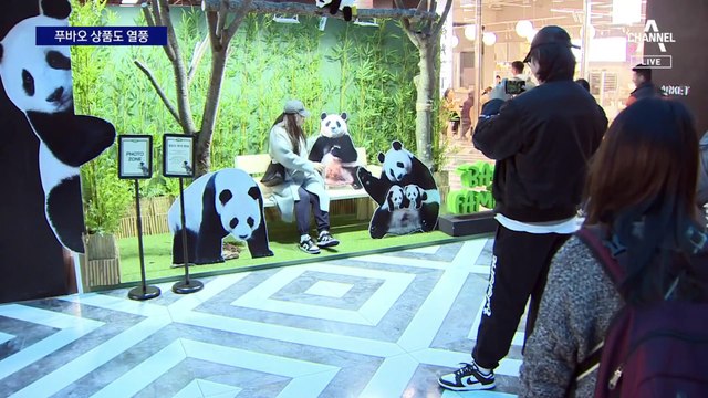 진짜 푸바오 없어도…사전예약 오픈 5분 만에 매진