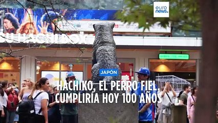 Hachiko, el perro fiel que siempre esperaba a su dueño, cumpliría hoy 100 años