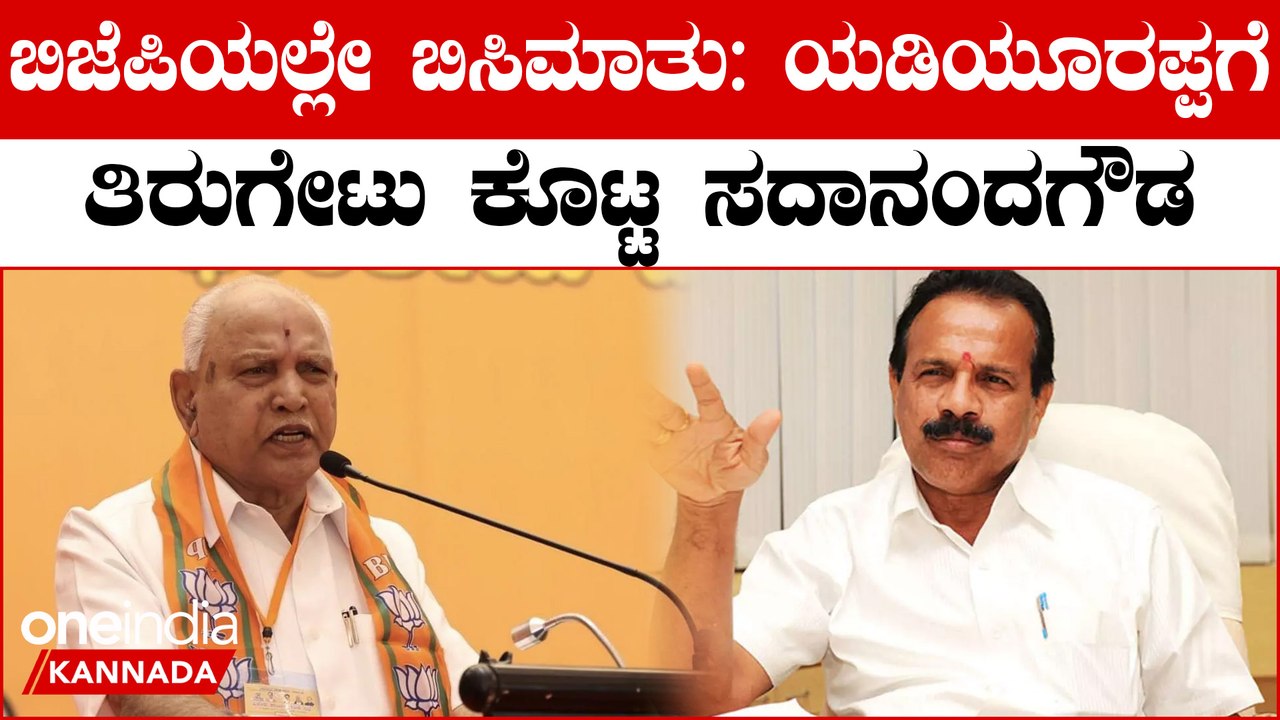 ಹೈಕಮಾಂಡ್ ಲೋಕಸಭಾ ಸ್ಪರ್ಧೆಯಿಂದ ದೂರ ಸರಿಯೋಕೆ ಸದಾನಂದಗೌಡರಿಗೆ ಹೇಳಿತ್ತಾ ..?