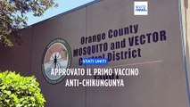 Usa, approvato il primo vaccino al mondo per il virus chikungunya