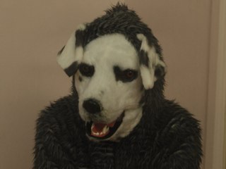 "Good Boy": Tierisch abgefahrener Horror-Thriller aus Norwegen