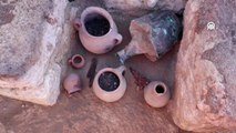 Karabük'teki antik kentte 1600 yıllık tohumlar gün yüzüne çıkarıldı
