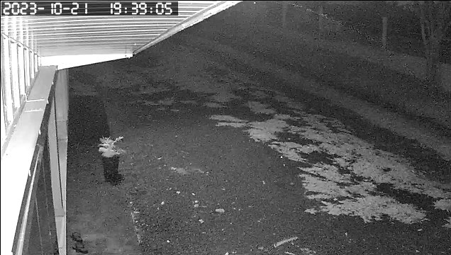 Família de adolescente morto em acidente na PR-496 realiza manifestação pedindo justiça - vídeo acidente