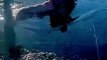 Daredevil Swims 22 Meters Under Ice! || Best of Internet