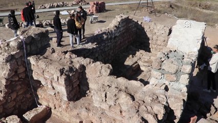 1600 yıllık tohumlar gün yüzüne çıkarıldı