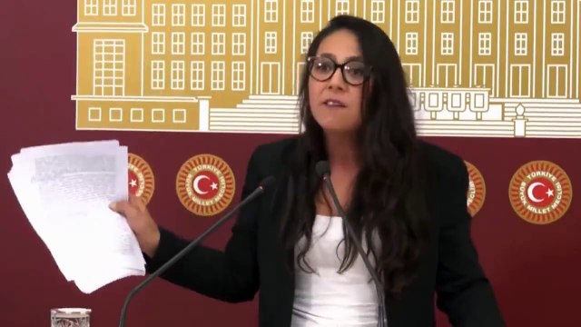 TİP Sözcüsü Sera Kadıgil: Anayasa yoksa cumhurbaşkanı yoktur. Anayasa yoksa devlet de yoktur
