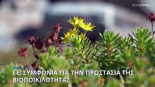 Ευρωπαϊκή Ένωση: Συμφωνία για την προστασία της βιοποικιλότητας και την αποκατάσταση οικοσυστημάτων