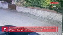 Yiyecek arayan ayılar kamerada