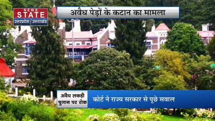 Uttarakhand News : Nainital में कालाढूंगी से बाजपुर के बीच अवैध पेड़ों के कटान का मामला