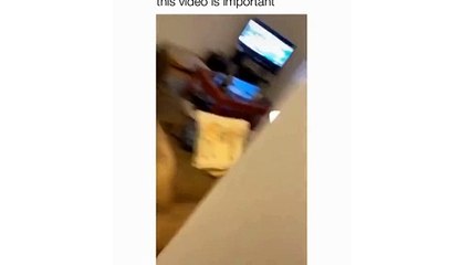 Watch Now Hilarious Dog Caught Spying on My Every Move! You Won't Believe What Happens!