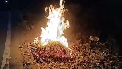 कचरे में आग लगाने वाली कड़ी कार्रवाई के निर्देश