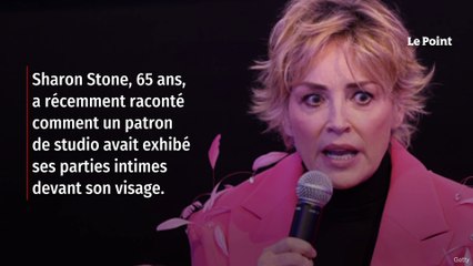 Sharon Stone raconte une scène sordide de harcèlement