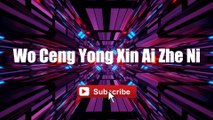 Wo Ceng Yong Xin Ai Zhe Ni - Pan Mei Chen lyrics lyricsvideo singalong