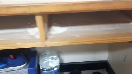 Camarotes en el Volcán de Tauce de Naviera Armas