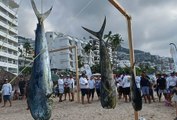 Embarcación vallartense gana el torneo de pesca “Playa de los Muertos”