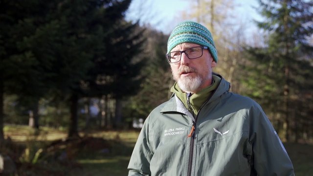 Zakopane - Tatry - trwa licznie kozic w Tatrach