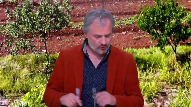 Assises de la bioéconomie en BFC – Jour 1 – TR4. L’arbre et la haie en agriculture