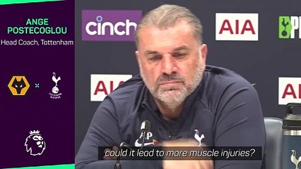 Postecoglou concerned by VAR stoppages