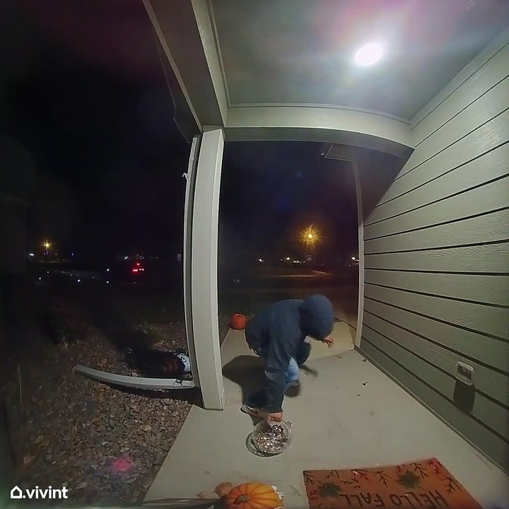 Adult Allegedly Steals Halloween Candy