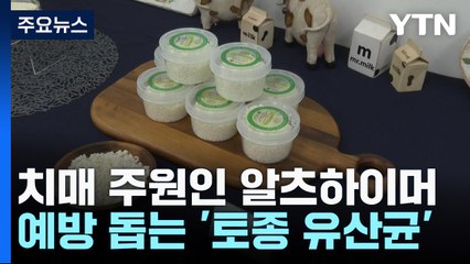 치매 주원인 알츠하이머병...예방 돕는 토종 유산균 발견 / YTN