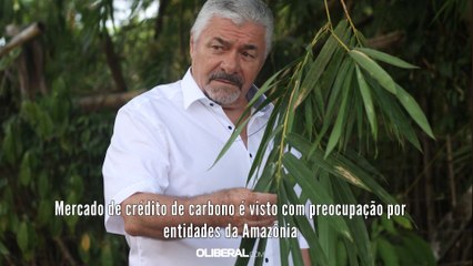 Carbon credit market harasses populations and worries Amazon entities