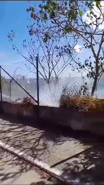 Incêndio atinge vegetação no Benedito Bentes
