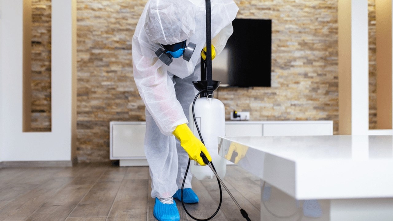 Tragédie mortelle due à l'utilisation de produits toxiques contre les punaises de lit