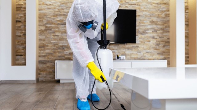 Tragédie mortelle due à l'utilisation de produits toxiques contre les punaises de lit