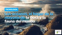 Los océanos, el hogar de la mayoría de la flora y la fauna del mundo