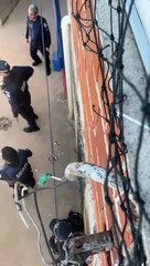 Moradores da Vila Cauhy se indignam após policial matar cachorro em casa