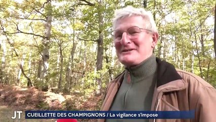 CUEILLETTE DES CHAMPIGNONS / La vigilance s’impose