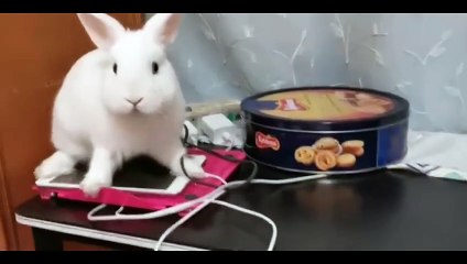 Sophia Leone - Sophia Wants Seconds