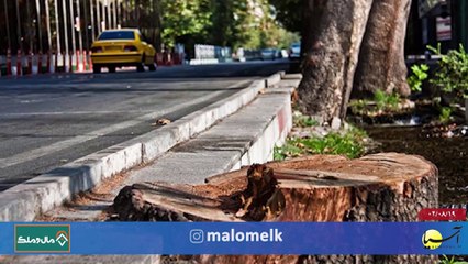 سر صفحه با ایرج جمشیدی جمعه 19 آبان 1402