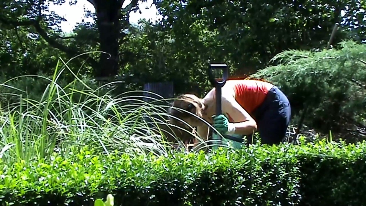 Garten Bernau Eichwerder 5. Juli 2011