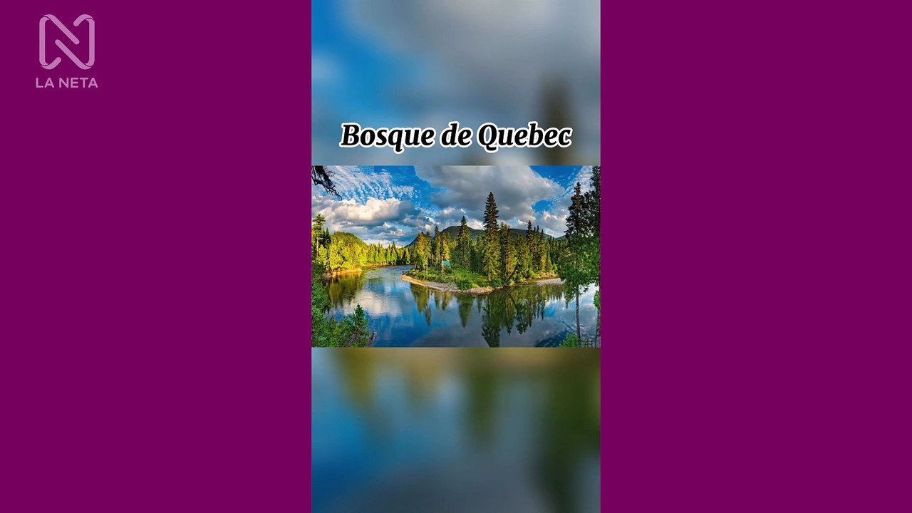 Compilados - La Neta (alfonso peña)