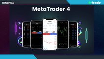 T4Trade: Empowering Traders With Cutting-Edge Tools And Support