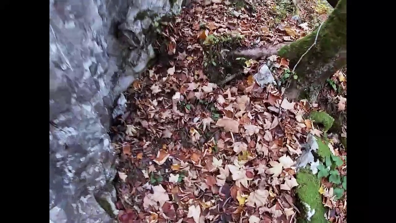 Chess study which got 1.prize by Peter Siegfried Krug