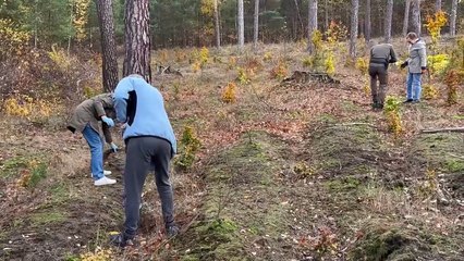 Społeczne sadzenie lasu z okazji 100-lecia Lasów Państwowych