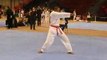 TiP 2008 Taekwondo  Pal-jang Mickael