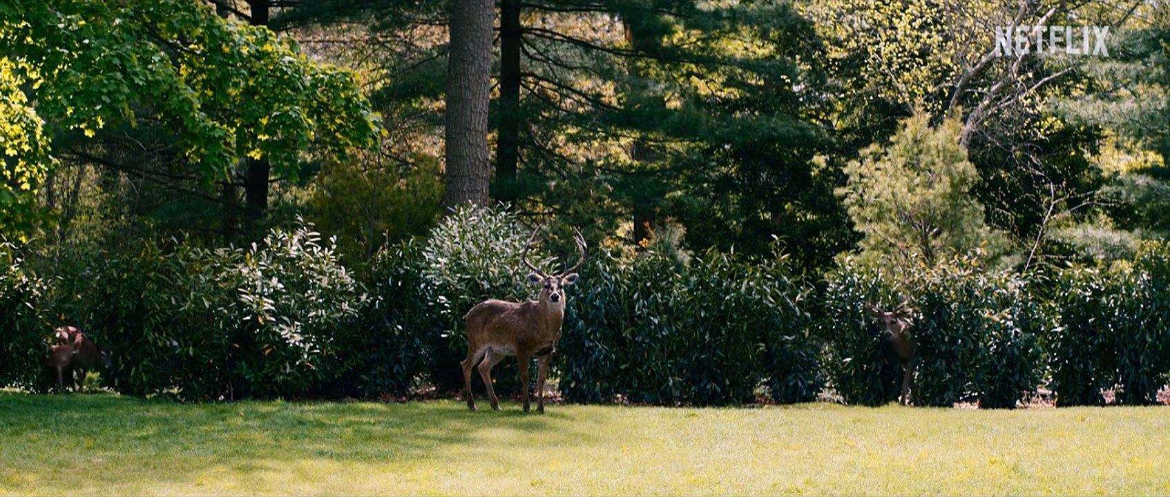 Leave The World Behind Clip OV