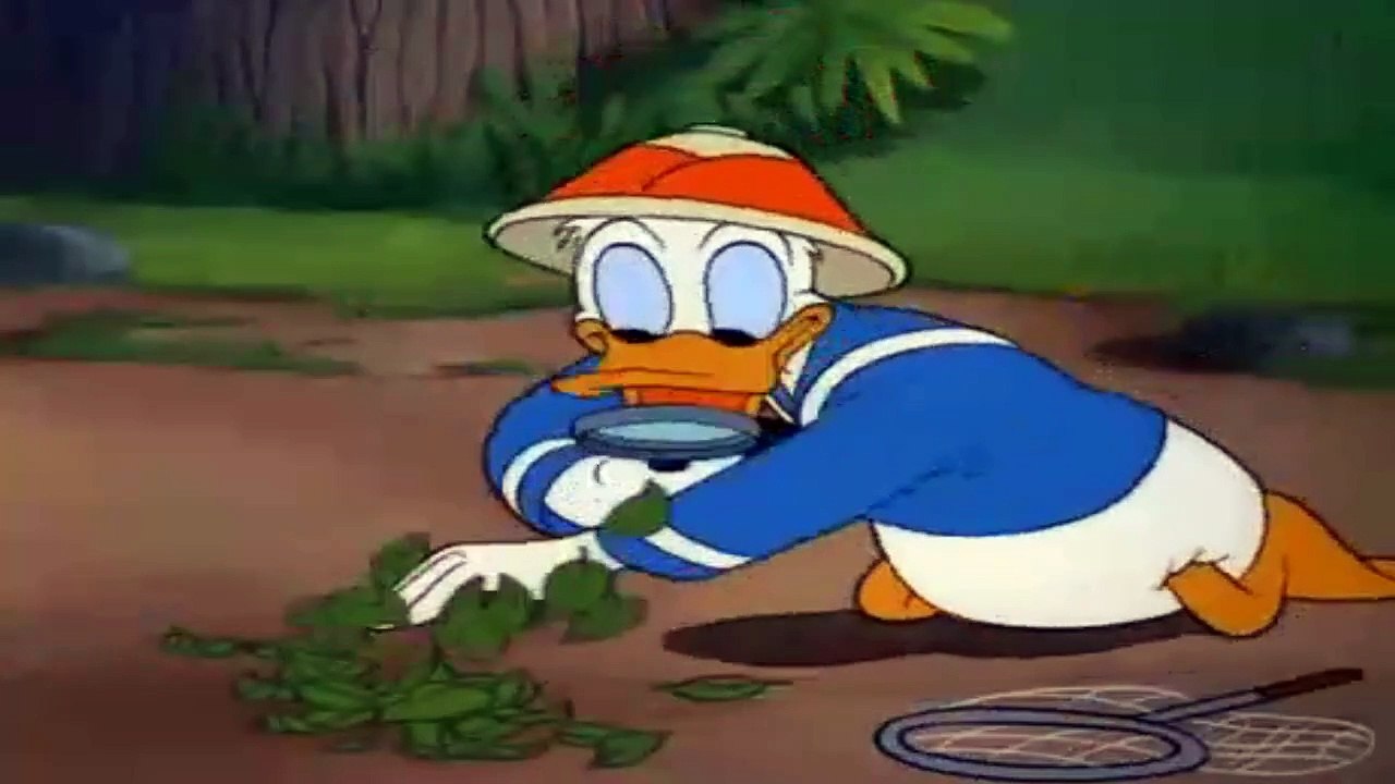 Donald Duck-  Bootle Beetle 1947