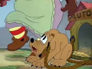 Pluto - Pantry Pirate