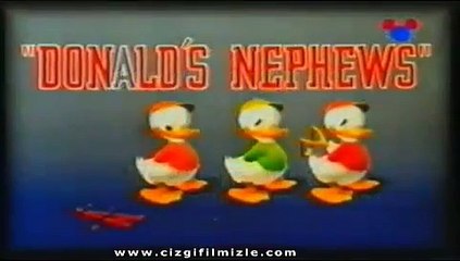 Donald Duck - Donald'ın Yeğenleri (cizgifilmizle.com)