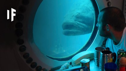 What If We Lived In Cities Under Water?